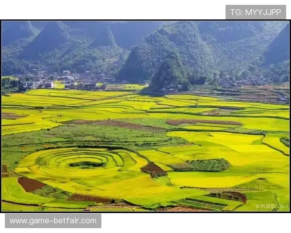 快乐之都：绿色生态与可持续发展在提升城市幸福指数中的作用