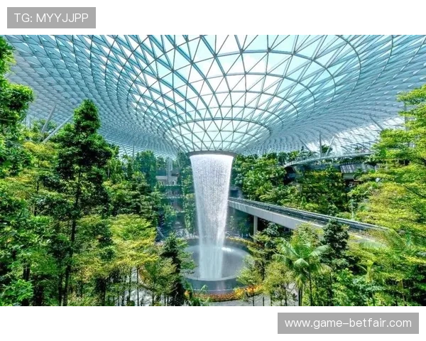 新加坡金沙娱乐：探索多元化娱乐项目与顶级服务的完美结合